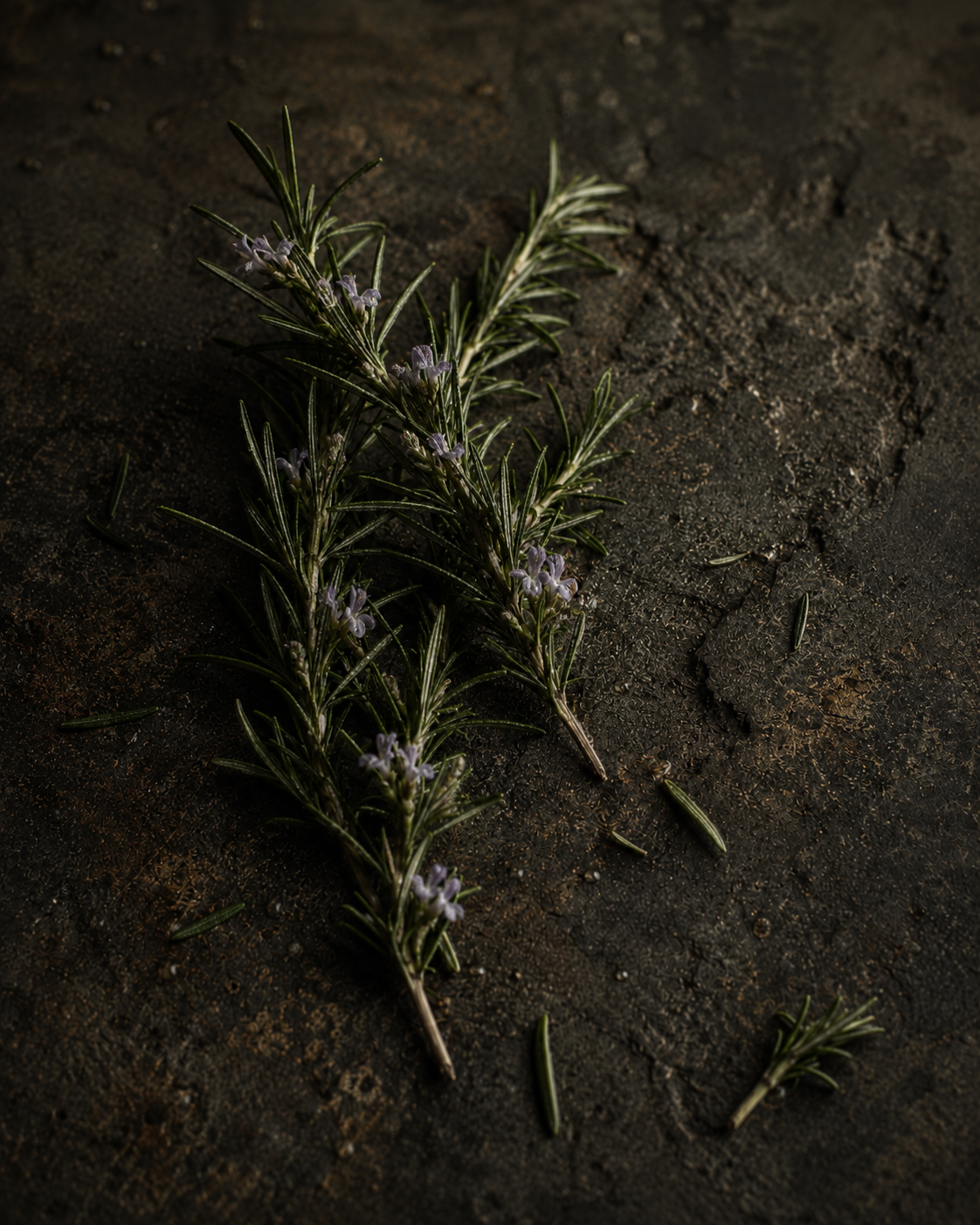 Rosemary Extract